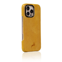 iPhone 16 Pro & 16 Pro Max Case
